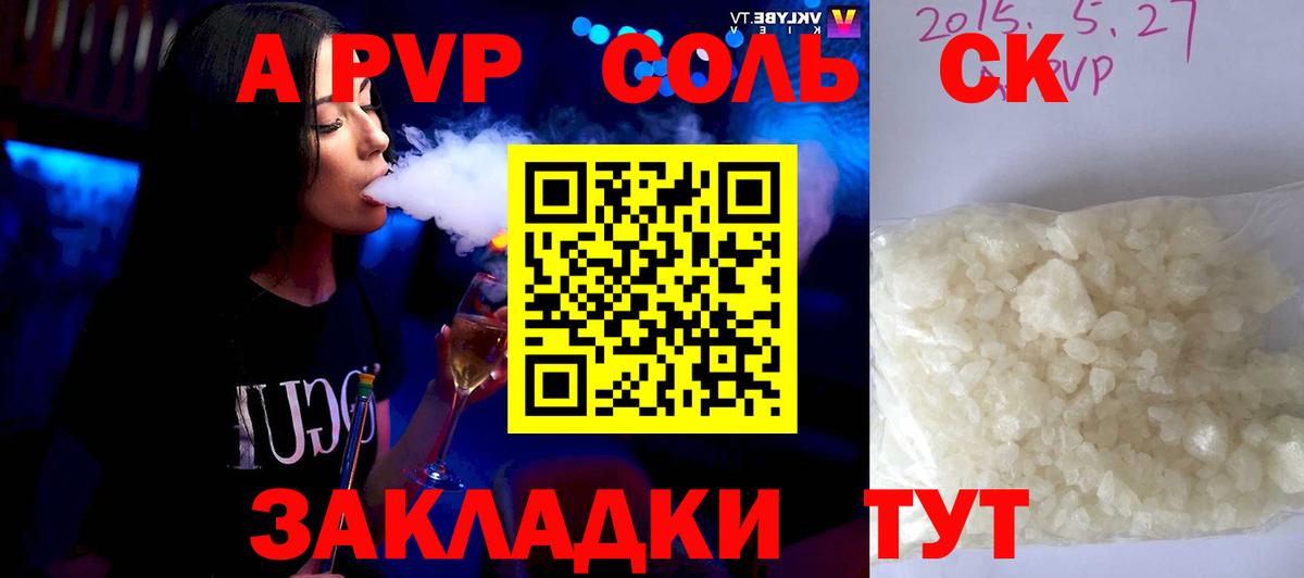 Alfa_PVP СК Гатчина