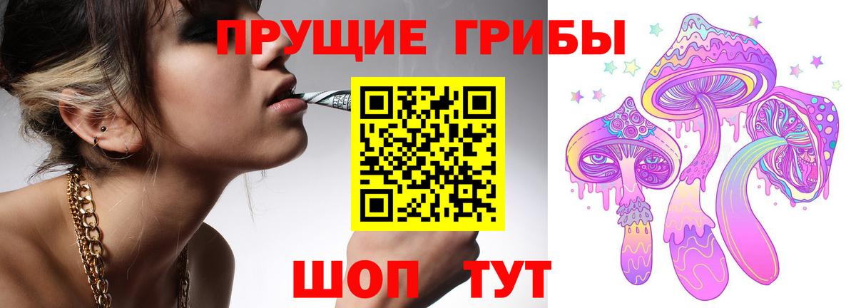 Псилоцибиновые грибы прущие грибы  Галлюциногенные грибы Cubensis  Вход с VPN  Гатчина 